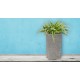Kvetináč G21 Natur Tube 35 x 70 x 35 Kvetináč G21 Natur Tube 35 x 70 x 35