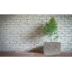 Kvetináč G21 Natur Box 71 x 51 x 30 Kvetináč G21 Natur Box 71 x 51 x 30